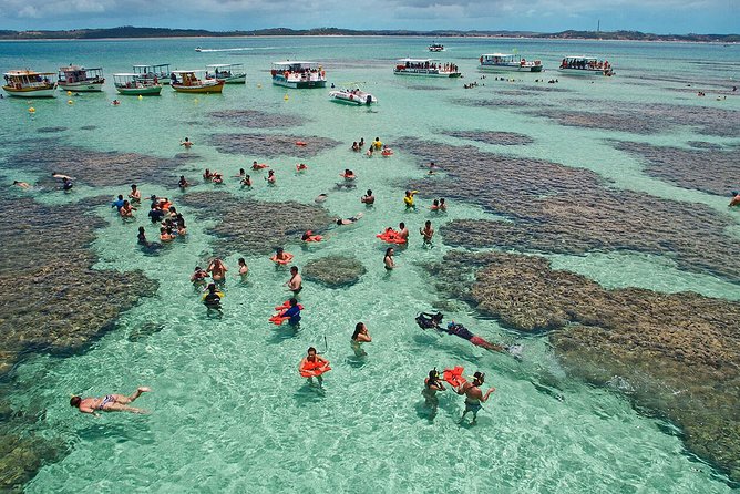 Praia de Maragogi em Alagoas com mar verde turquesa